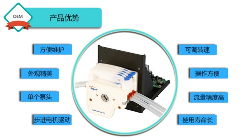 S100-2B+DG精密蠕動(dòng)泵